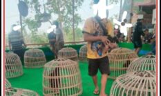 berita-pilihan-foto